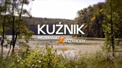 Kuźnik Nature Reserve