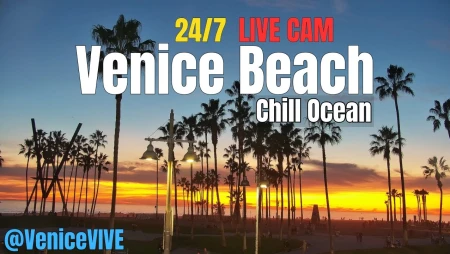 Venice Beach : Boardwalk, Surf & Sunset Views
